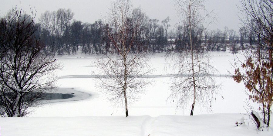 Zale�ena Sava 2012